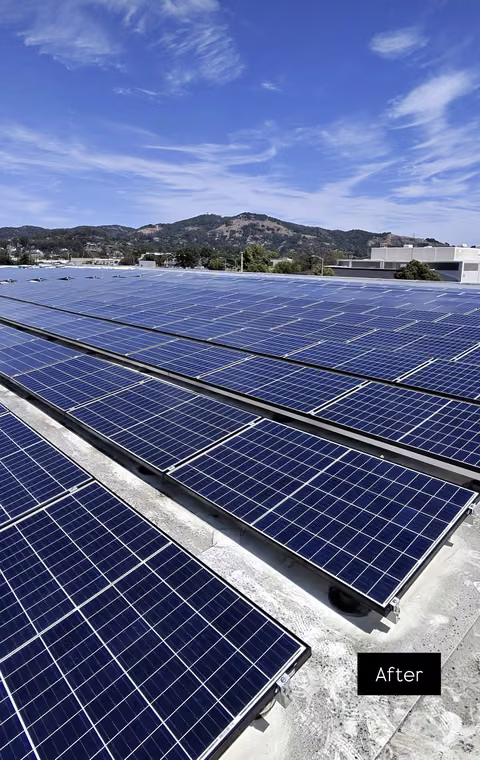 Commercial solar array after cleaning